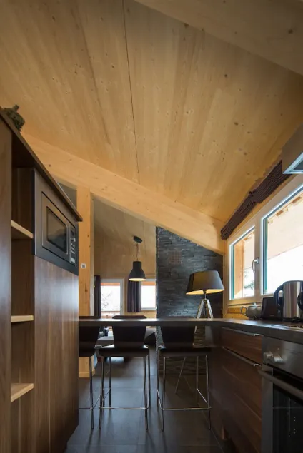 Chalet # 5 with IR-sauna and whirlpool bath - Image 1