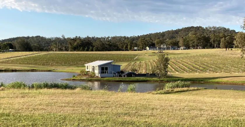 Lovedale Lakehouse Vineyard - Image 1