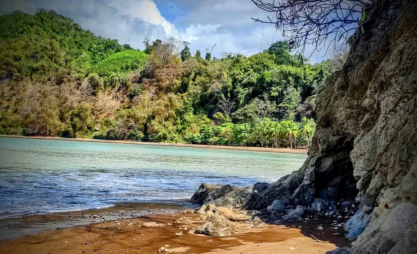 Paradise Found! Character filled close to beach, forest and amenities - Image 1