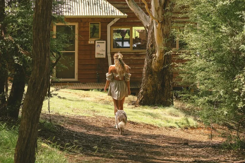 Little Olive Cabin - Image 1