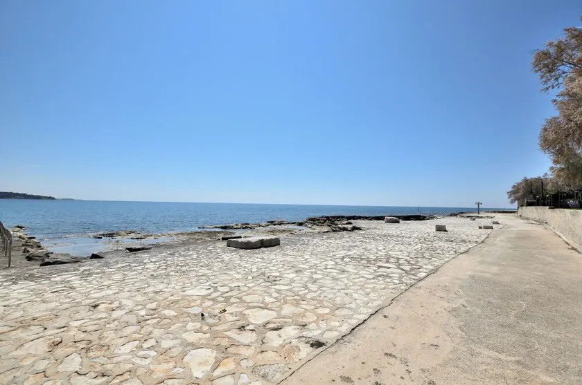 Pintar 1 - Image 1