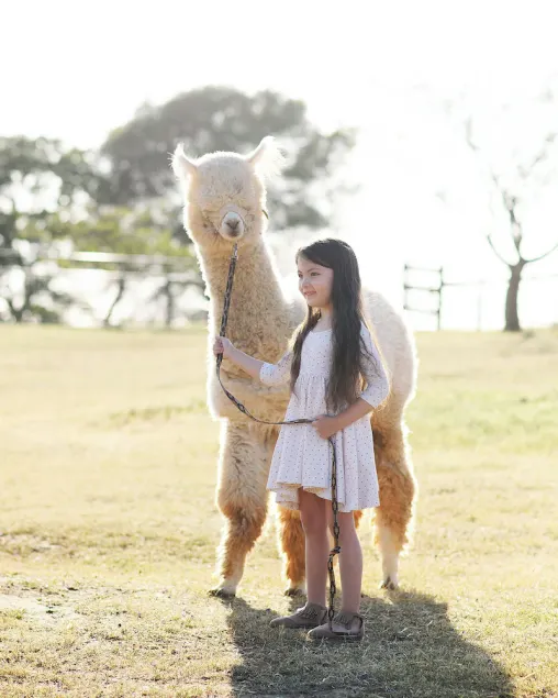 Unique Experience and Stay on a Working Alpaca Ranch. - Image 1