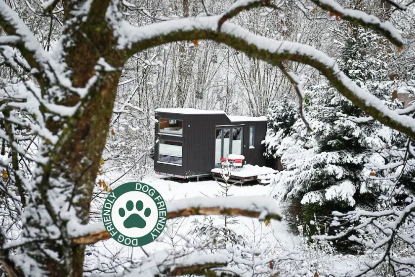 Sustainable vacation with a dog at the Green Tiny House Nature 4 in Osterode am Harz - Image 1