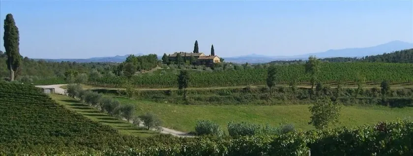 Air Conditioned 15th Century House with Pool on Wine Estate - Image 1