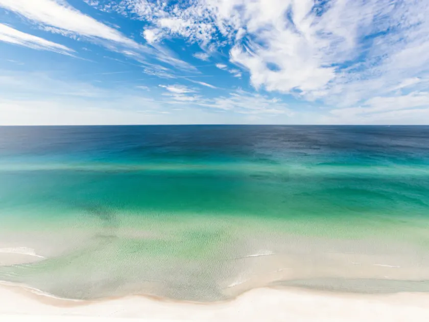 Seas The Day - Image 1