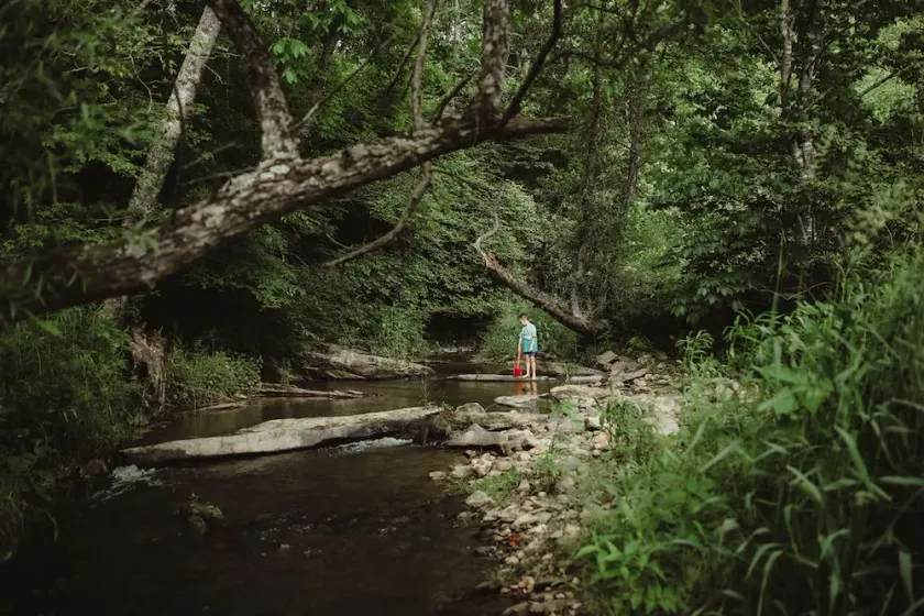     Peaceful Mountain Retreat: Private Creek, Fireflies & Family Fun - Image 1