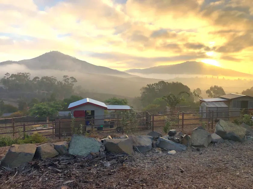 Farm Sanctuary Stay 20 min to the Beach. On 2.5 acres - Image 1