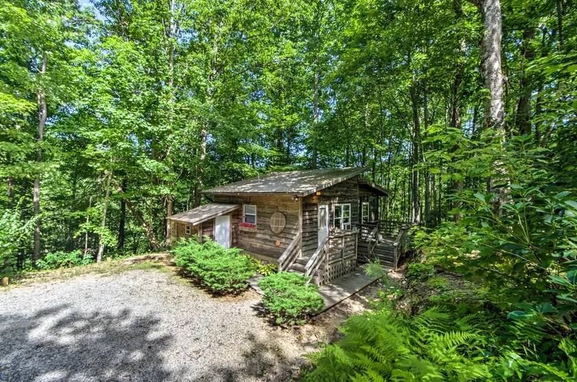 Forest Views! ‘The Woodshop’ Robbinsville Cabin - Image 1