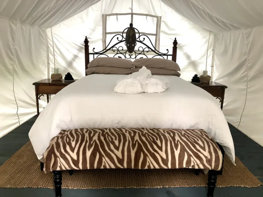 Glamping on a Safari - Image 1