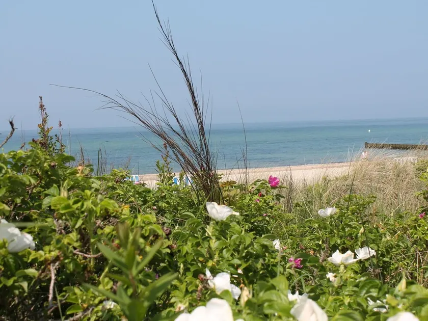Apartment am Meer in Rerik - Image 1