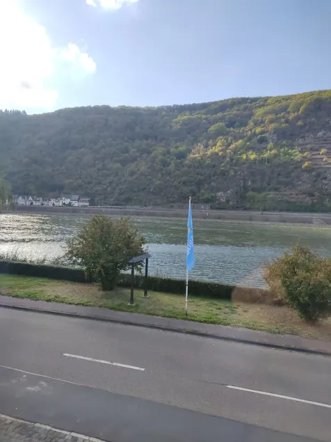 Recreation in the Middle Rhine Valley - Image 1