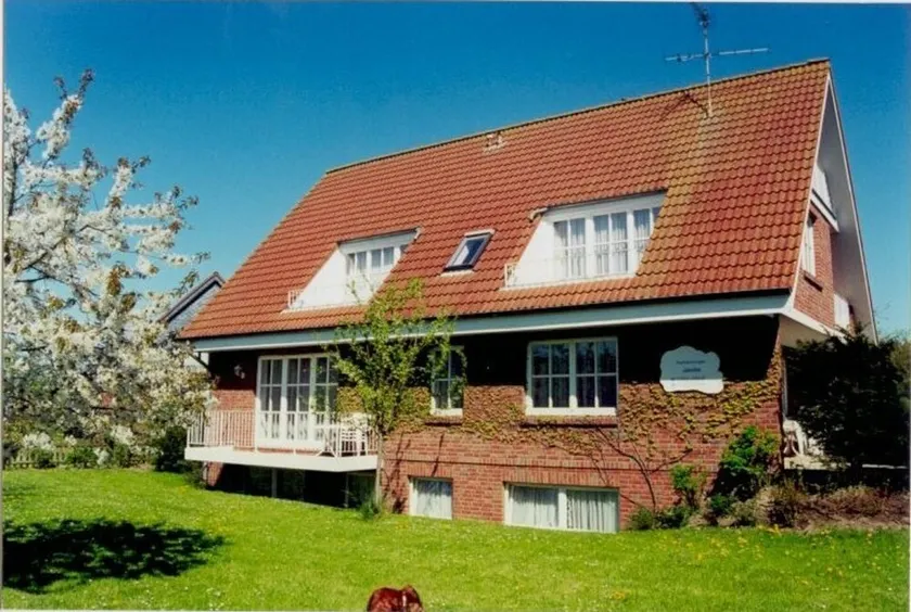 Apartment (W5) between forest and waves - Image 1
