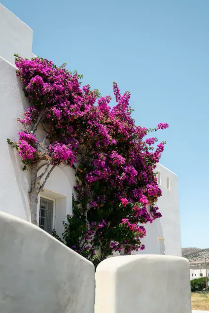 Naxos Kastraki Homey Villa with Sea View - Image 1