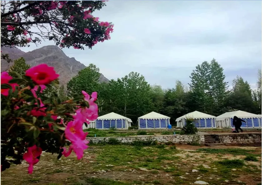 Julley World Camp - Image 1