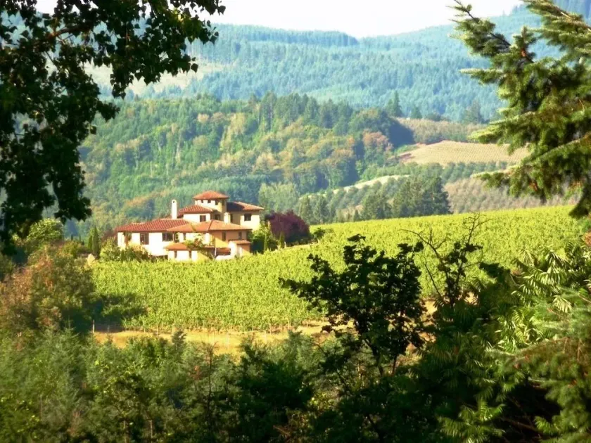 Casi Cielo toscanske vingård, North Willamette Valley, spektakulære udsigter - Image 1