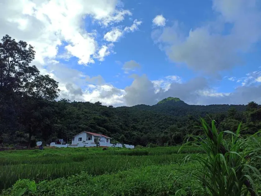 3bhk Farm home stay  surrounded by pristine nature in The majestic Western Ghats - Image 1