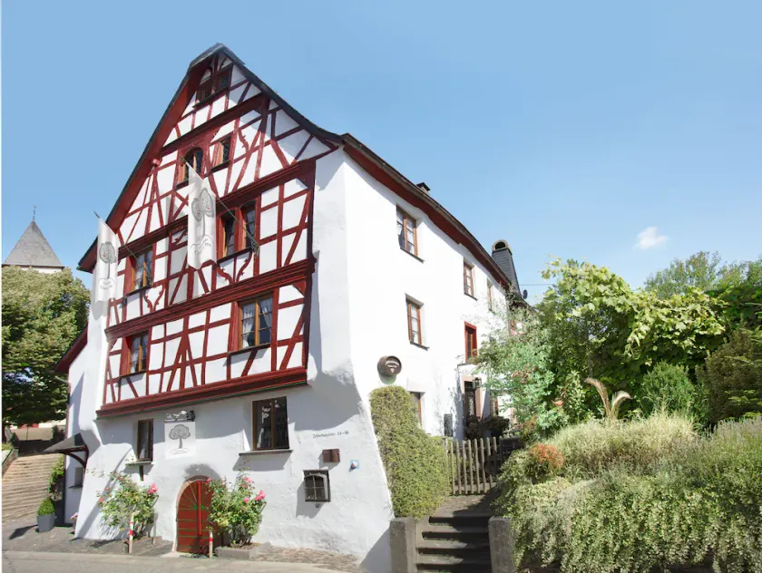 Luxury house with wellness area on the Moselle for 15 people, pet-friendly! - Image 1