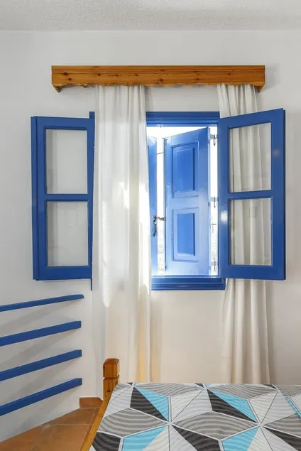 House Salvia - Image 1