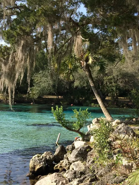 Vacker get-away i Floridas Ocala National Forest @ Salt Springs Resort! - Image 1