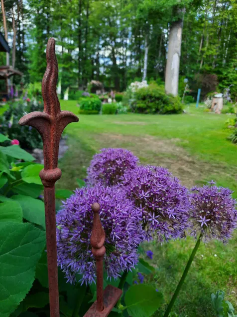 \"Am Apfelbaum\" vacation apartment. An oasis of peace surrounded by a garden paradise. - Image 1