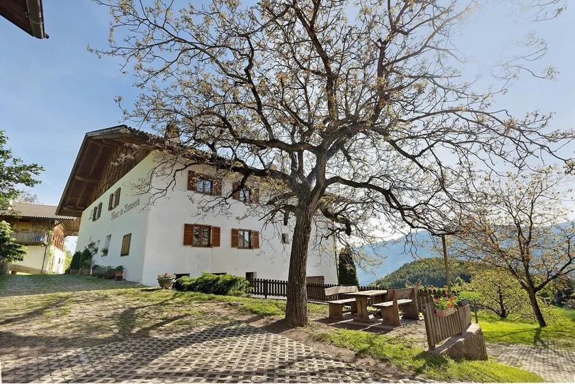 Ferienwohnung 'Moar im Rumsein - Saltenblick' mit Bergblick, WLAN & Garten - Image 1