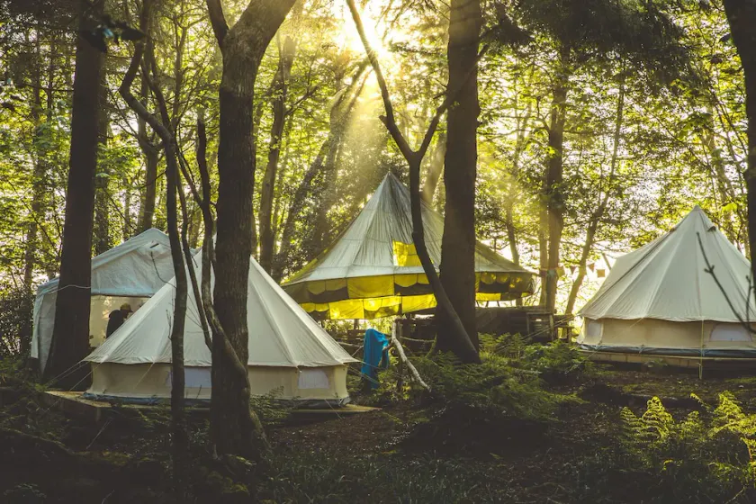 Wild Camp Night: Privata Camp Experience | 4 tält - Image 1