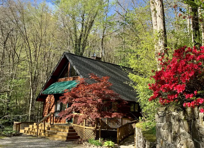 Cabine 2 Bd 2 Ba isolée près de la ville Rushing Creek Spa adapté aux personnes handicapées - Image 1