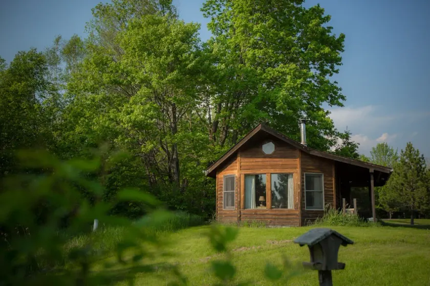 Haustierfreundliche Hütte auf den Wiesen am Waldrand mit großen Fenstern - Image 1