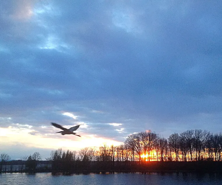 Relaxing cottage on Carry Bay boasting beautiful sunsets. - Image 1