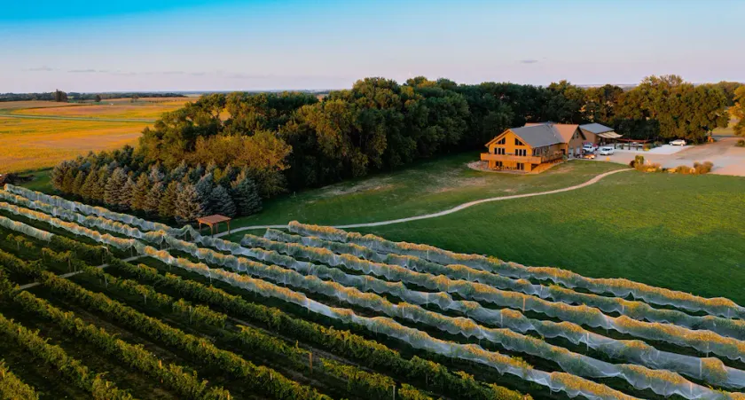 4 bedroom vineyard home near Brookings, SD - Image 1