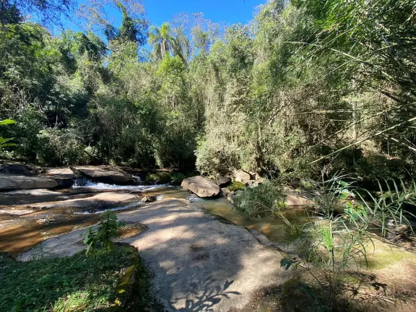 Sítio Borboleta Azul - Paradise in the Serra da Cantareira - Image 1