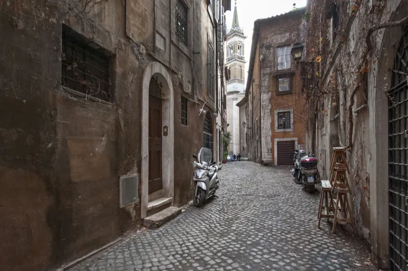 Volpe grande - Image 1