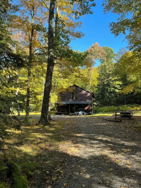Coyote Lodge, Cooks Forest, Pa - Image 1