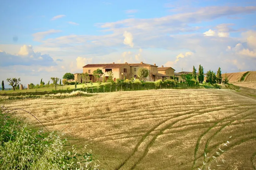 Traditional Tuscan farmhouse with 360° view near Montalcino and Siena - Image 1