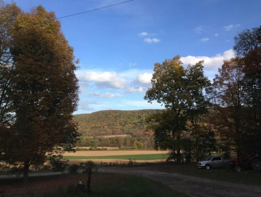 Barb and Barb's Country Getaway - Image 1