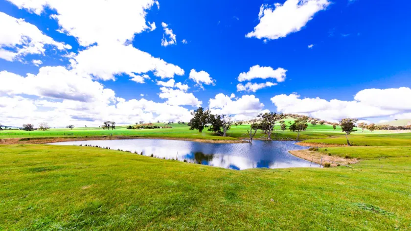 Hillview Farmstay - Image 1