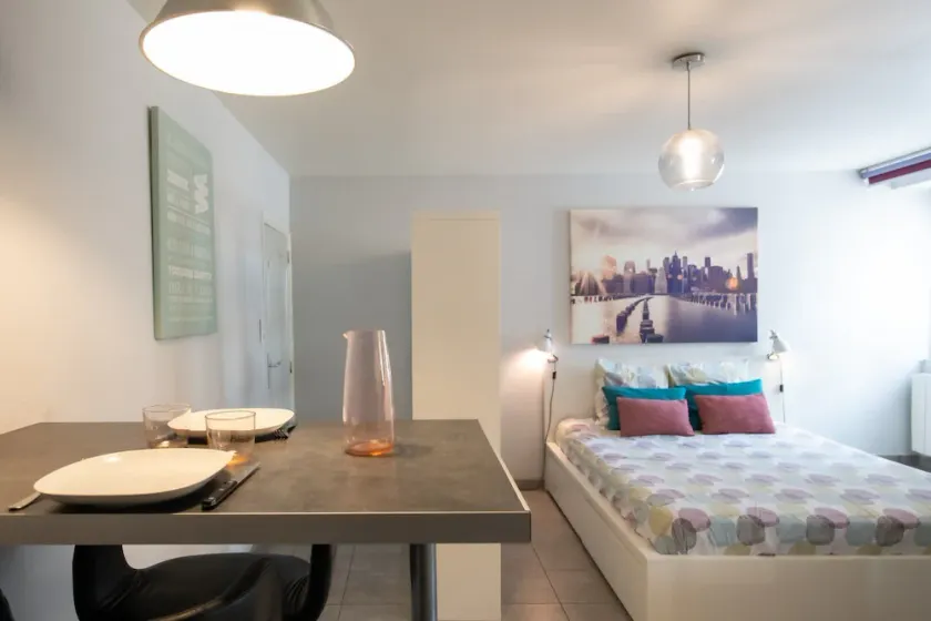 Le cocon des Monts d'Or - studio cosy frais - Image 1