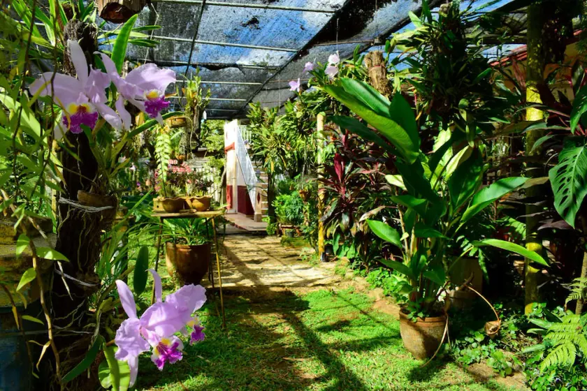 Casa Papo y Niulvys - Image 1