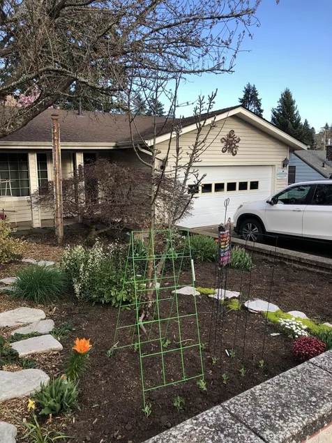 July and August Rental. College Hill/ Friendly Neighborhood. 4 bedroom 3 bath - Image 1