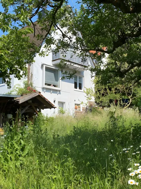 Apartment Am Sonnenhang - appartamento di 2 locali (45m²) - Image 1