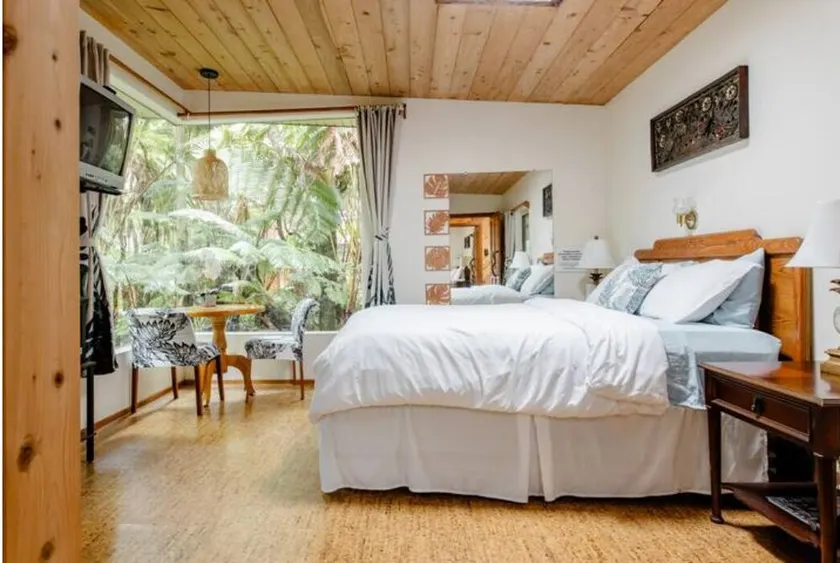 Peaceful Volcano lodge with a hot tub - Image 1
