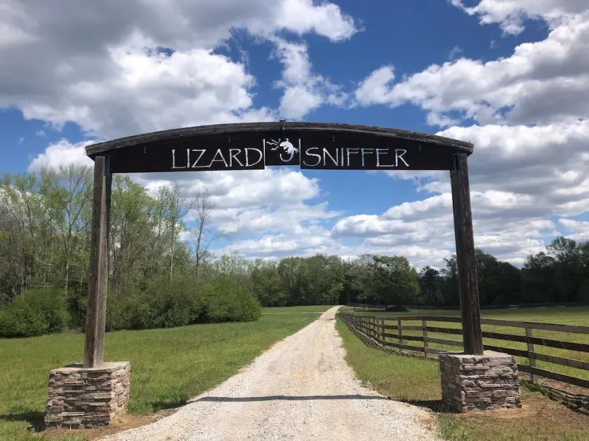 Lake House on private stocked lake with miles of trails and Horses! - Image 1