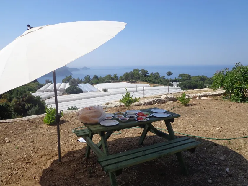 çiftlik tepesi pansiyon - Image 1