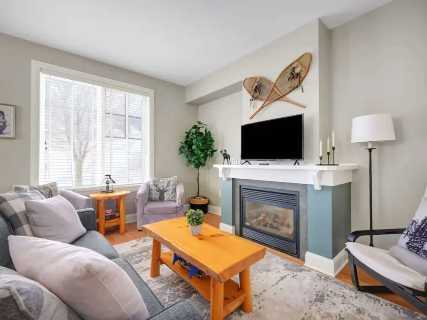 All Season Ski in Out Chalets at Calabogie Peaks - Image 1