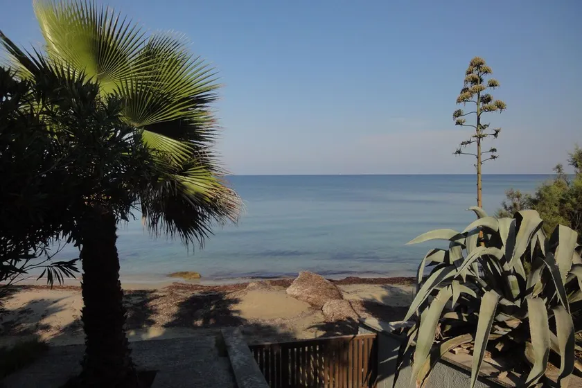 Kalamitsi Villa - Seafront House-Villa in Ionian sea surrounded by Fruit-grove - Image 1