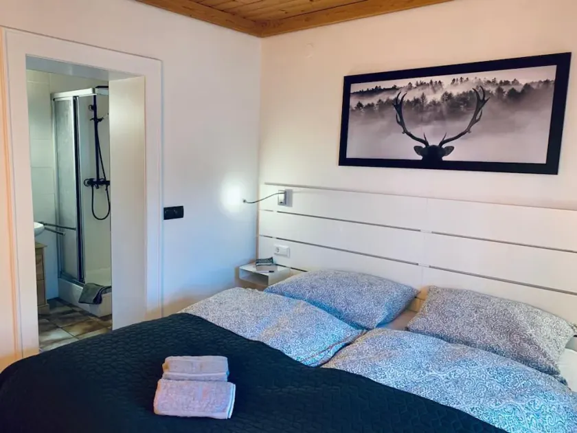 Vacation apartments with private sauna near the ski lifts in St. Oswald - Image 1