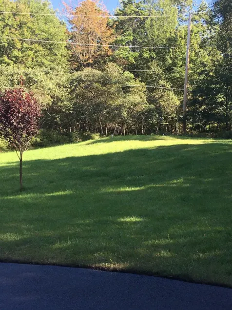 House 3 Bedrooms + Convertible bed (s) 2 Full Baths, (Sleeps 6 ) - Image 1