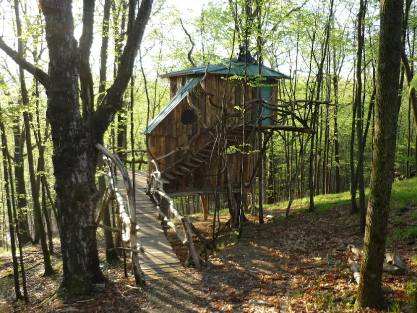 Vermont Treehouse compound: no cleaning fee. Spend a few days In the Trees - Image 1