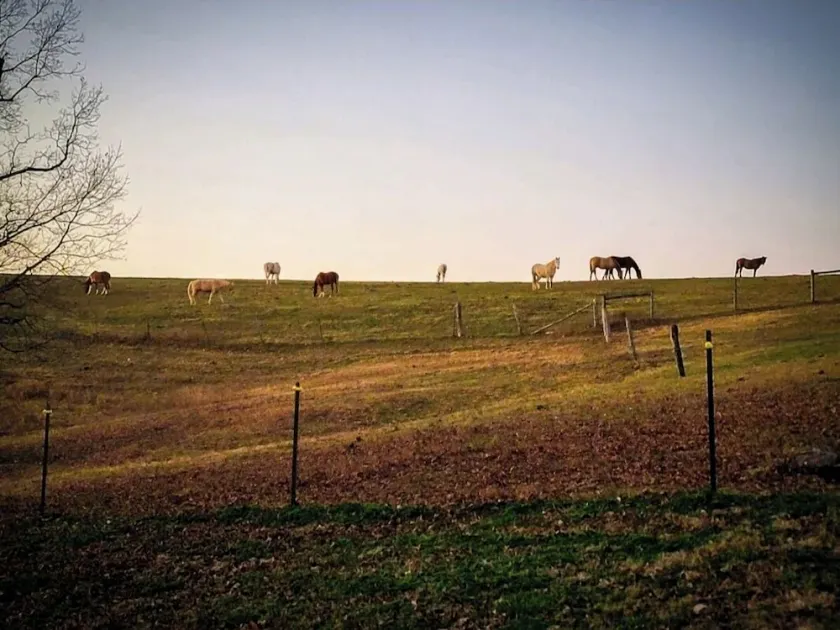 The Bunkhouse @Dragonfly Ranch is made to make you feel like home away from home - Image 1