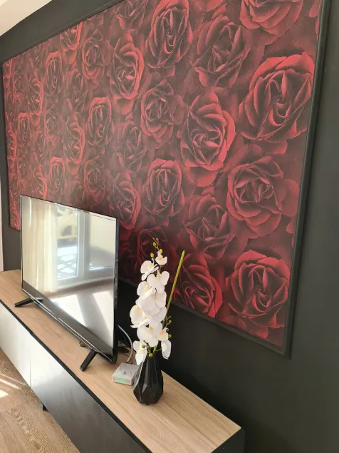 Charming Red Light City Center Apartment - Image 1